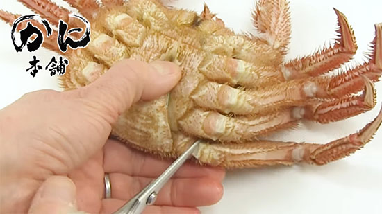 脚にハサミを入れていく