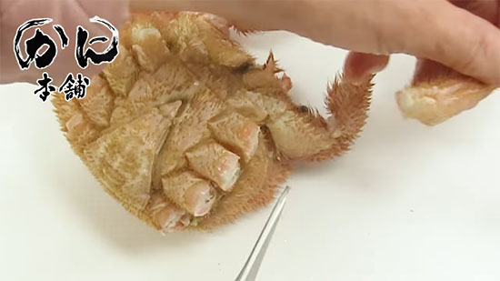 脚にハサミを入れている途中