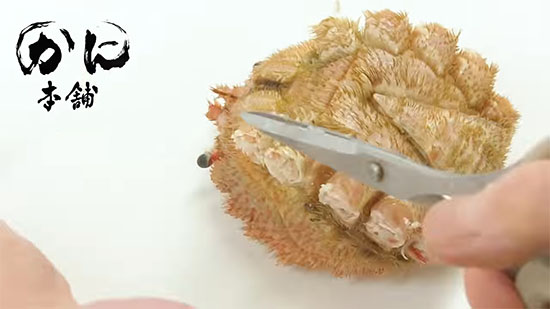 脚を切り離し終えた