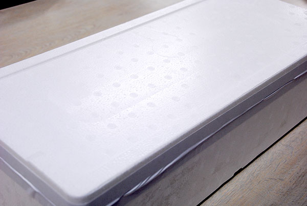 大きな発泡スチロールの箱の写真