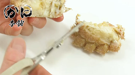 胴体を切り終えた