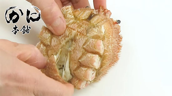 ふんどしを切る