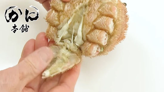 ふんどしを切っている