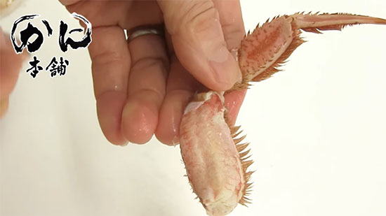 殻を開き終えた