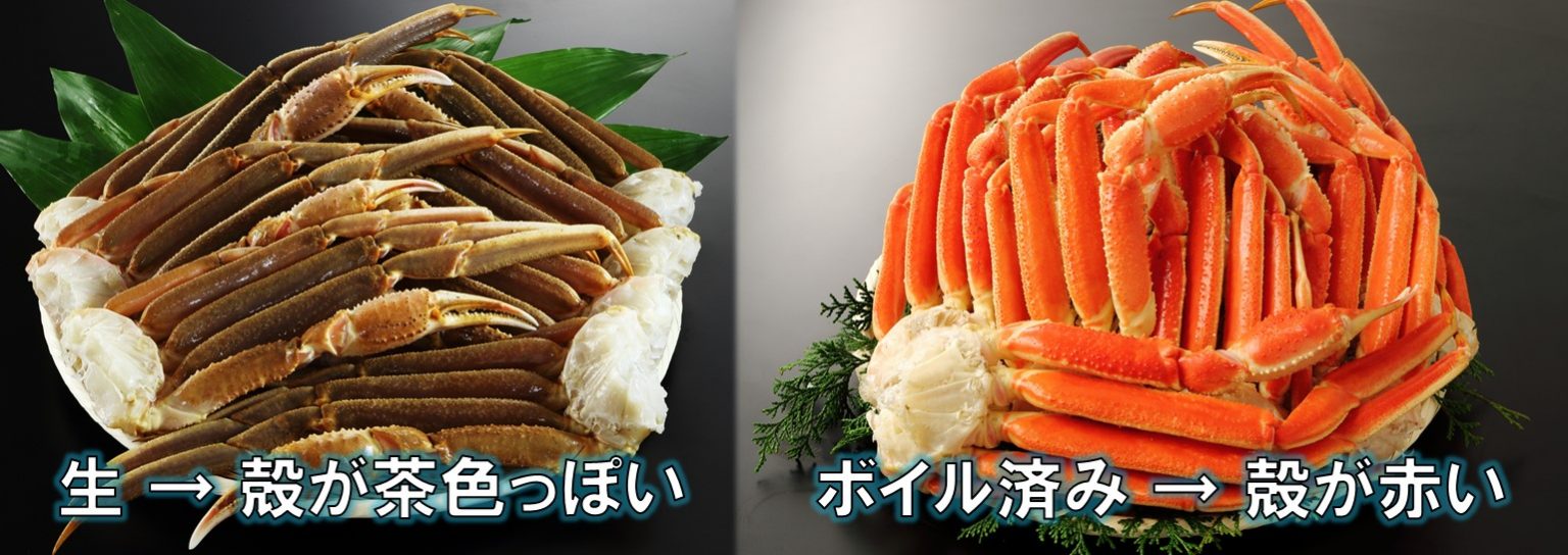 生とボイルのカニの比較写真