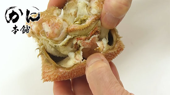 甲羅と胴体を外す