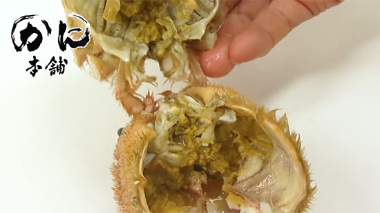 甲羅と胴体を外し終えた