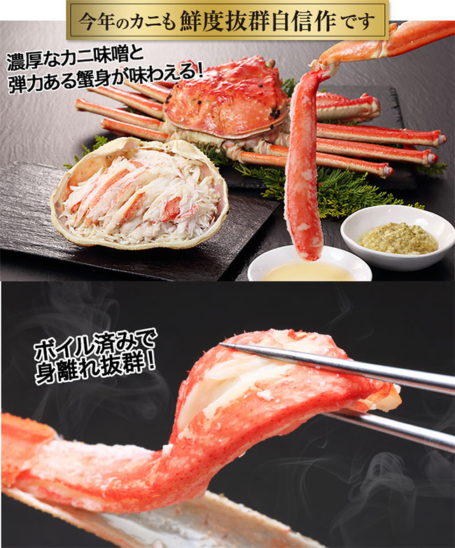 松葉ガニを食べる写真