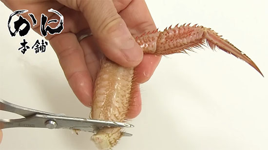 すべての殻をむく