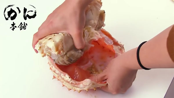 甲羅と胴体を外している所