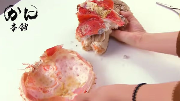 甲羅と胴体を外し終えた