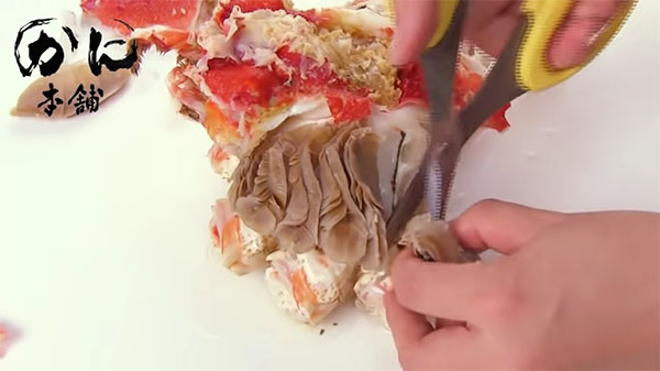 ガニを切り取る