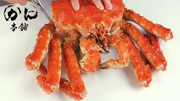 タラバガニの脚を切り離す
