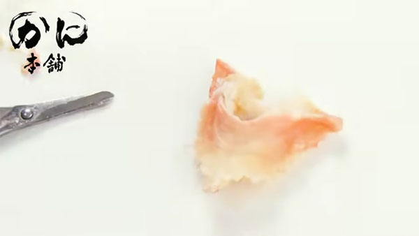 甲羅を外し終えた