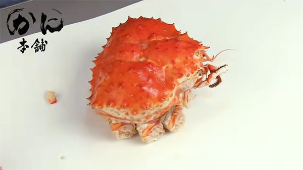 タラバガニの脚を切り離し終わった所