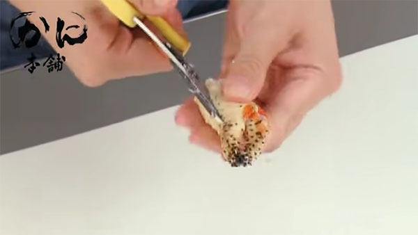 まずは爪の片側の側面を切る