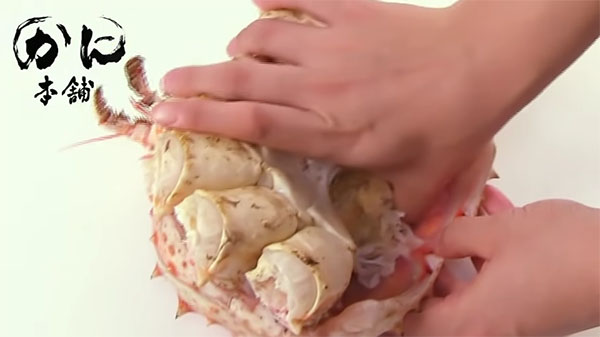 甲羅と胴体を外す