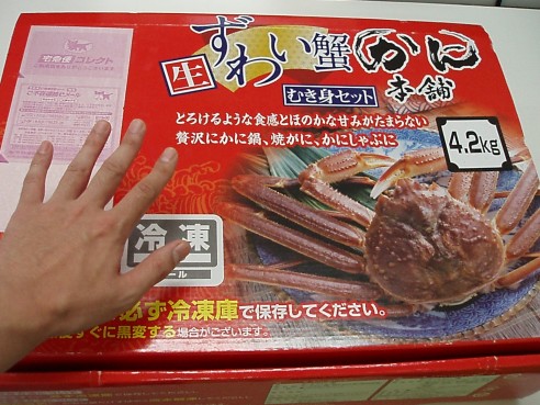 届いたズワイガニむき身セットの箱と手の大きさを比べた写真